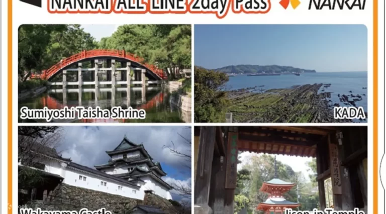 Nankai All Line 2 Day Pass