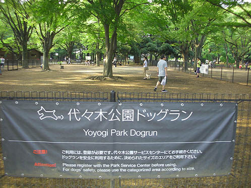 Yoyogi Park Dog Run