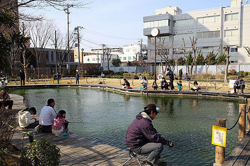 Ukima Park Fishing Pond In Kita-Ku, Tokyo