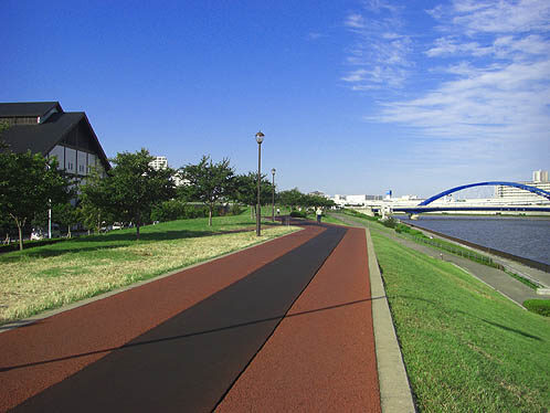 Shioiri Park Jogging Course Along The Sumida River
