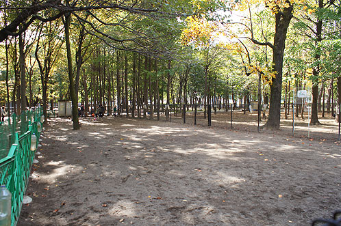 Johoku Chuo Park Dog Park