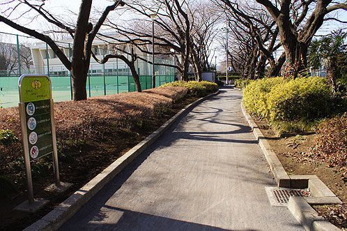Midorimachi Fureai Hiroba Park Jogging Course