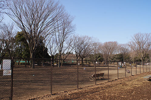 Koganei Park Dog Park