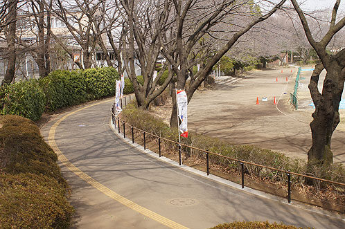 Kodaira City Central Park Jogging Course