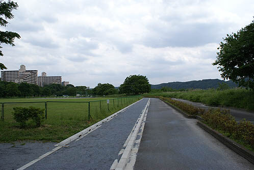 Tama River Green Space Fussa Minami Park Jogging Course