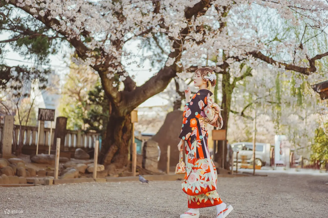 Kimono Yae Rental Experience In Asakusa - Location and Services