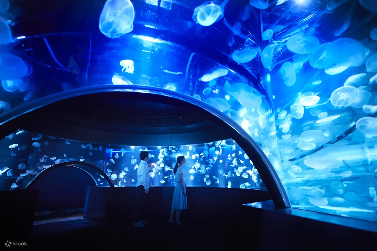 Kyoto Aquarium Admission Ticket: How To Buy Online - Ticket Options and Prices
