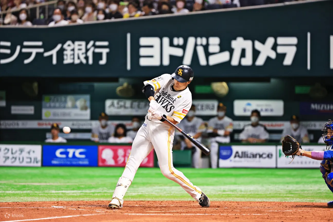 Fukuoka SoftBank HAWKS Baseball Game Ticket - Ticket Options and Pricing