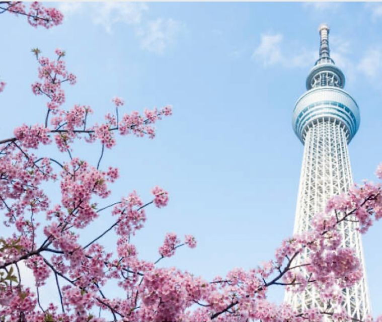 1 Day Tokyo Tour: Customizable (Up-To 6 Persons) - Activity Details