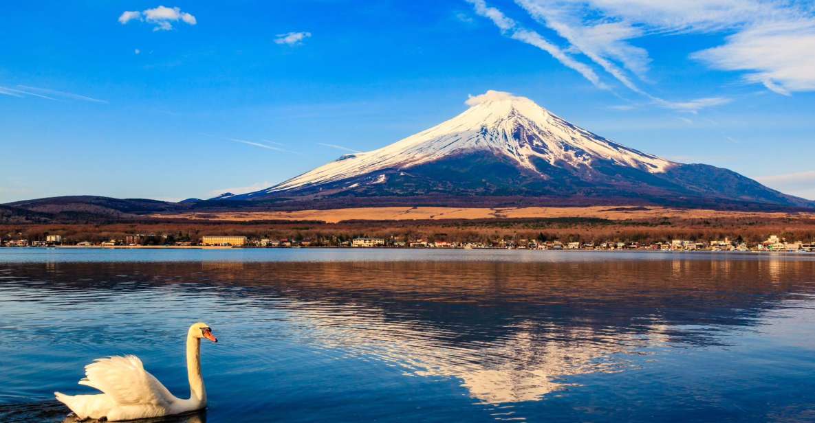 1-Day Trip: Mt Fuji Kawaguchi Lake Area - Activity Details