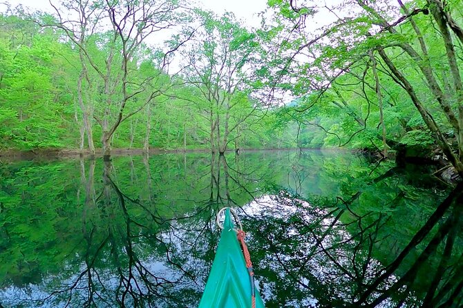 Dive Naturally! Melting Kinshu Lake Submerged Forest Canoe Tour - Enjoy the Enchanting Submerged Forest