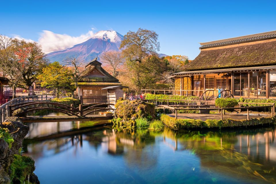 From Tokyo: 1-Day Private Mt. Fuji Tour by Car - Customizable Itinerary