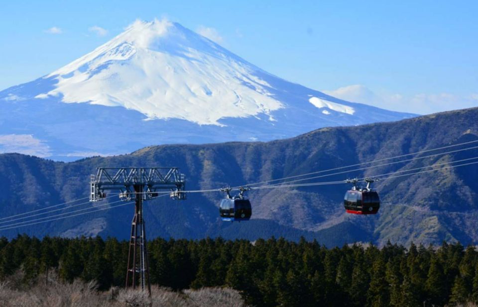 From Tokyo: 10-hour Hakone Private Custom Tour - Activity Details and Duration
