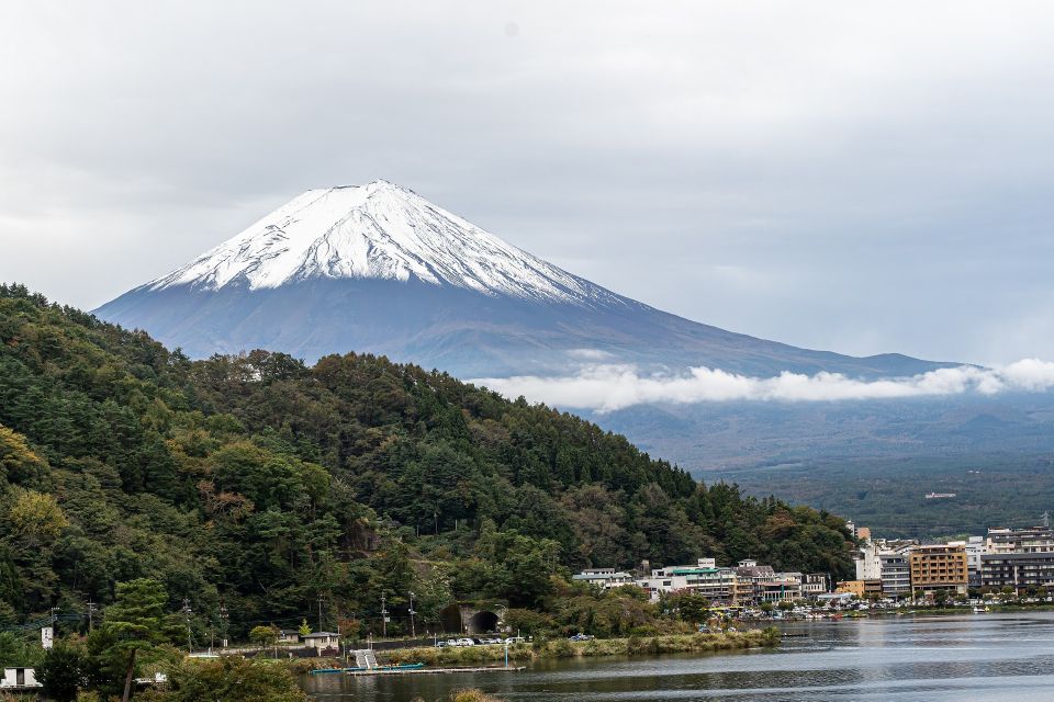From Tokyo: Private Scenic Day Trip to Kawaguchi-Ko Lake - Activity Details