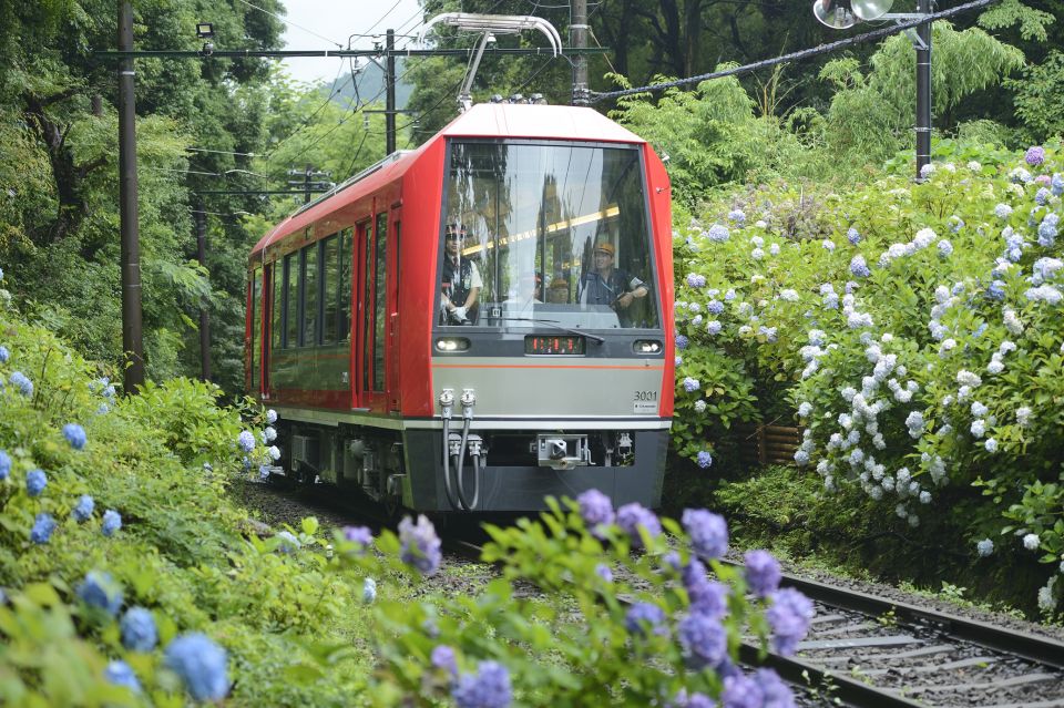 Hakone: Train Pass With Unlimited Rides & Activity Discounts - Booking Details and Flexibility
