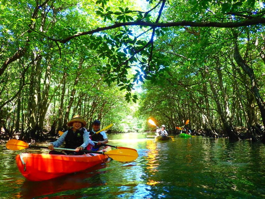 Iriomote Island: Kayaking and Canyoning Tour - Activity Details