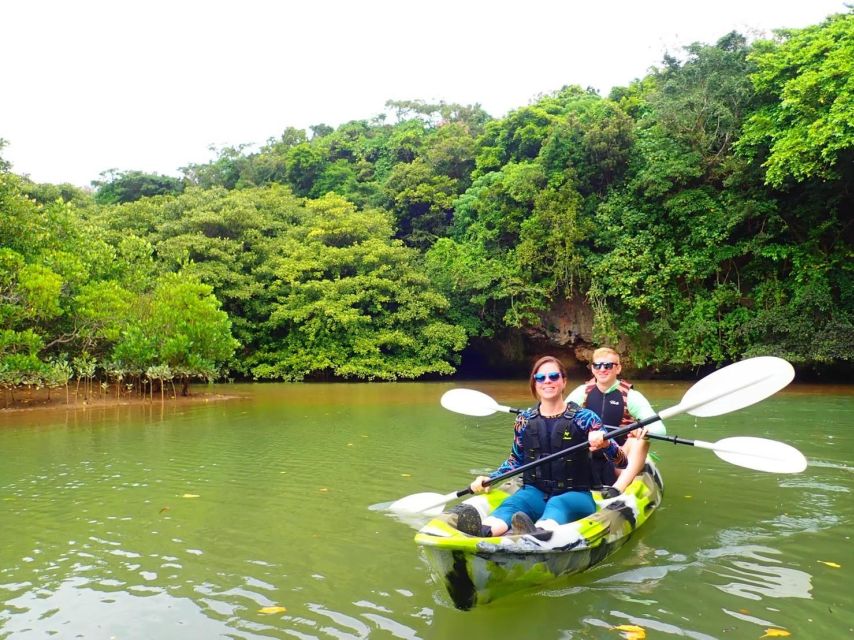 Ishigaki Island: 2-Hour Miyara River Kayaking Tour - Activity Details and Pickup Information