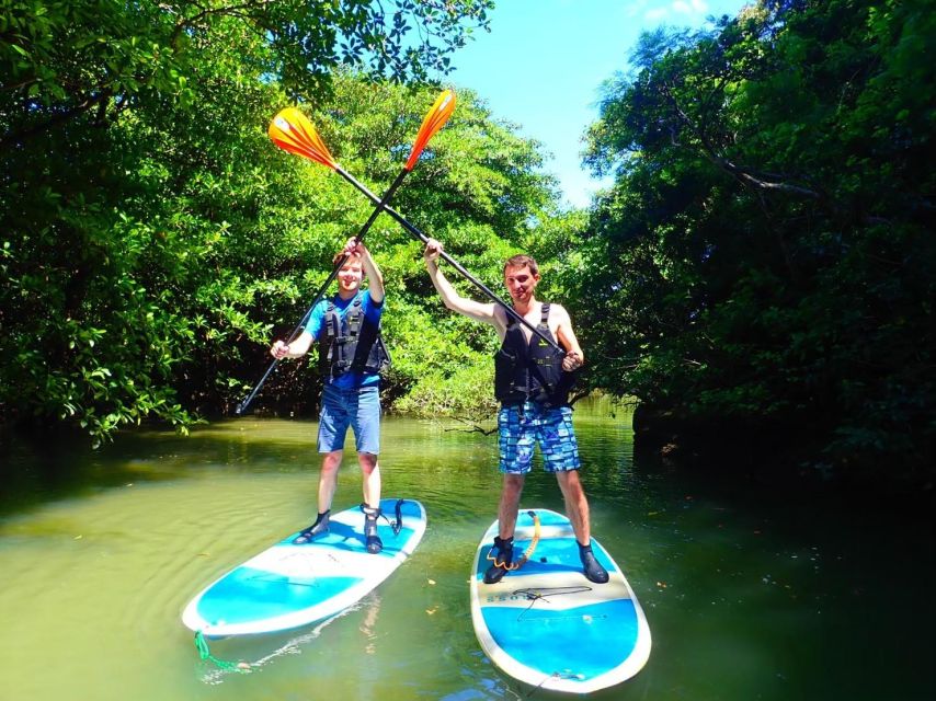 Ishigaki Island: SUP/Kayaking and Snorkeling at Blue Cave - Activity Details and Booking Information