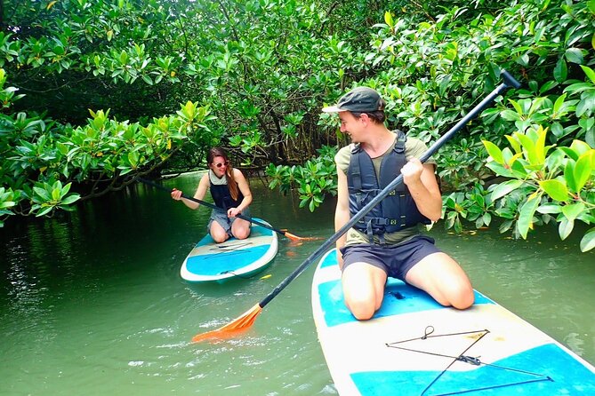 [Ishigaki] Mangrove SUP/Canoe Phantom Island Snorkeling - Pickup and Transportation