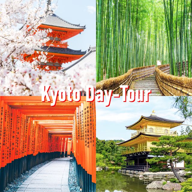 Kyoto: 10-hour Customized Private Tour - Experience Highlights