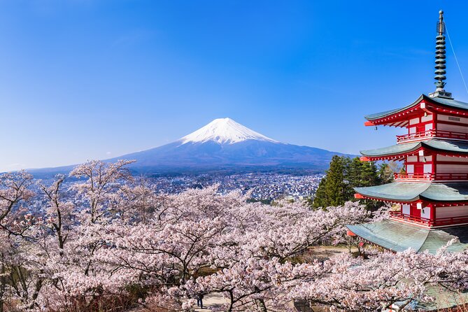Mt.Fuji and Hakone Tour - Itinerary Overview