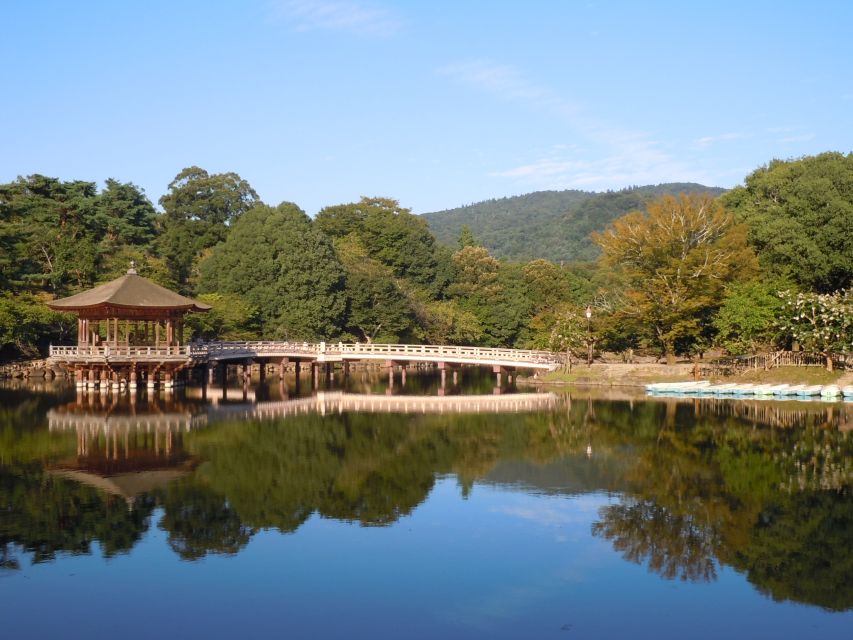 Nara: Todai-ji and Nara Park (Spanish Guide) - Visita Al Majestuoso Todai-Ji