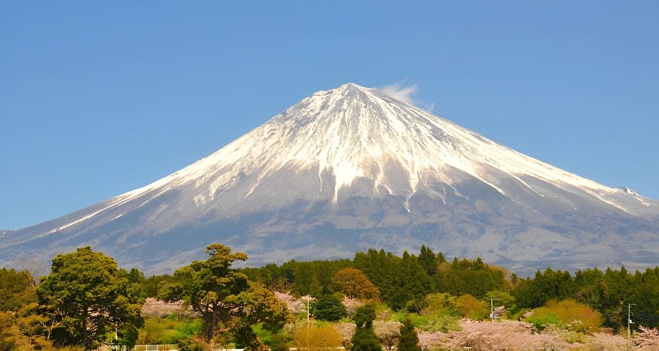 Private Full-Day Tour From Tokyo to Mount Fuji and Hakone - Activity Details