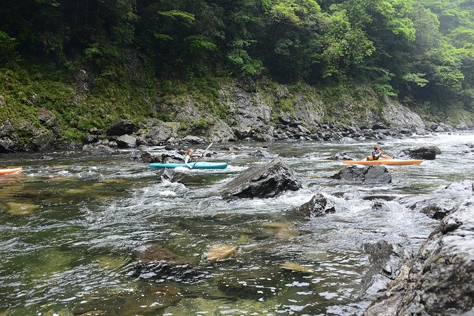 Private Half-Day Kayaking Trip on Kyushu's Anbo River - Kagoshima Prefecture - Trip Highlights