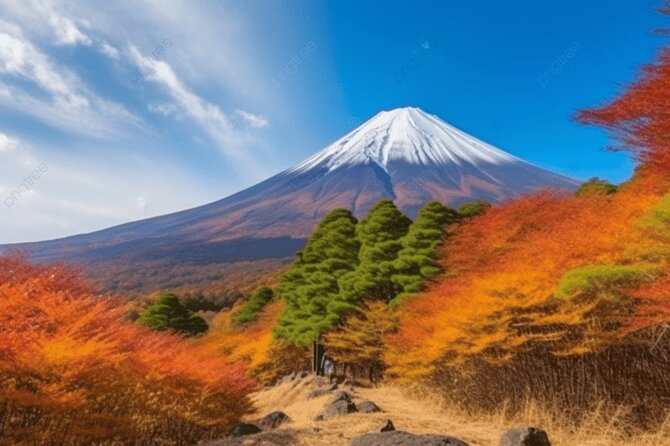 Private Transport Mt Fuji and Hakone 1 Day Trip - Pickup Points and Times