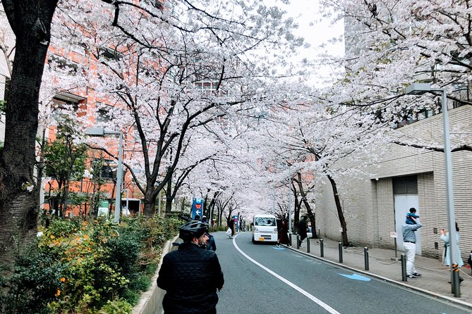 Tokyo Cherry Blossoms Blooming Spots E-Bike 3 Hour Tour - Best Cherry Blossom Viewing Spots in Tokyo