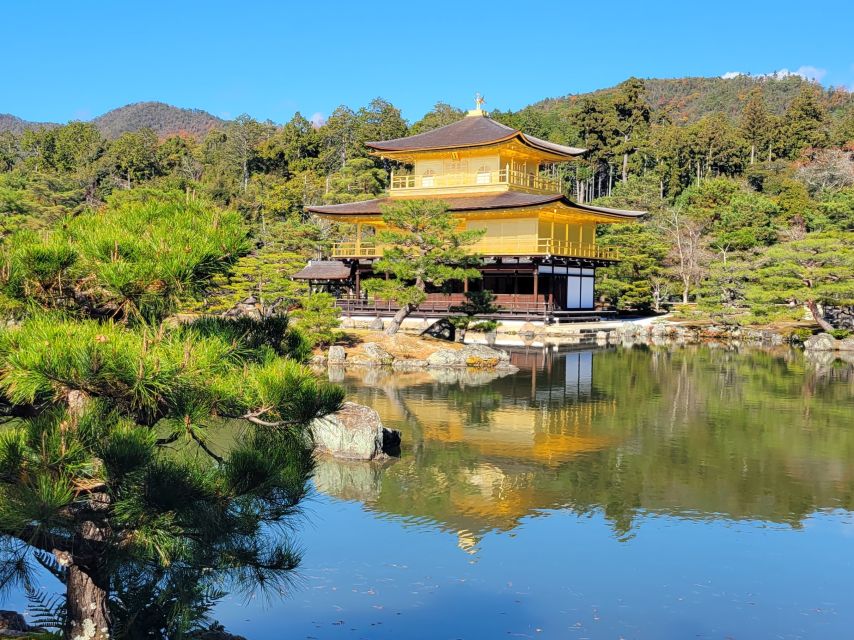 Tour in Kyoto With a Goverment Certified Tour Guide - Cancellation and Reservation