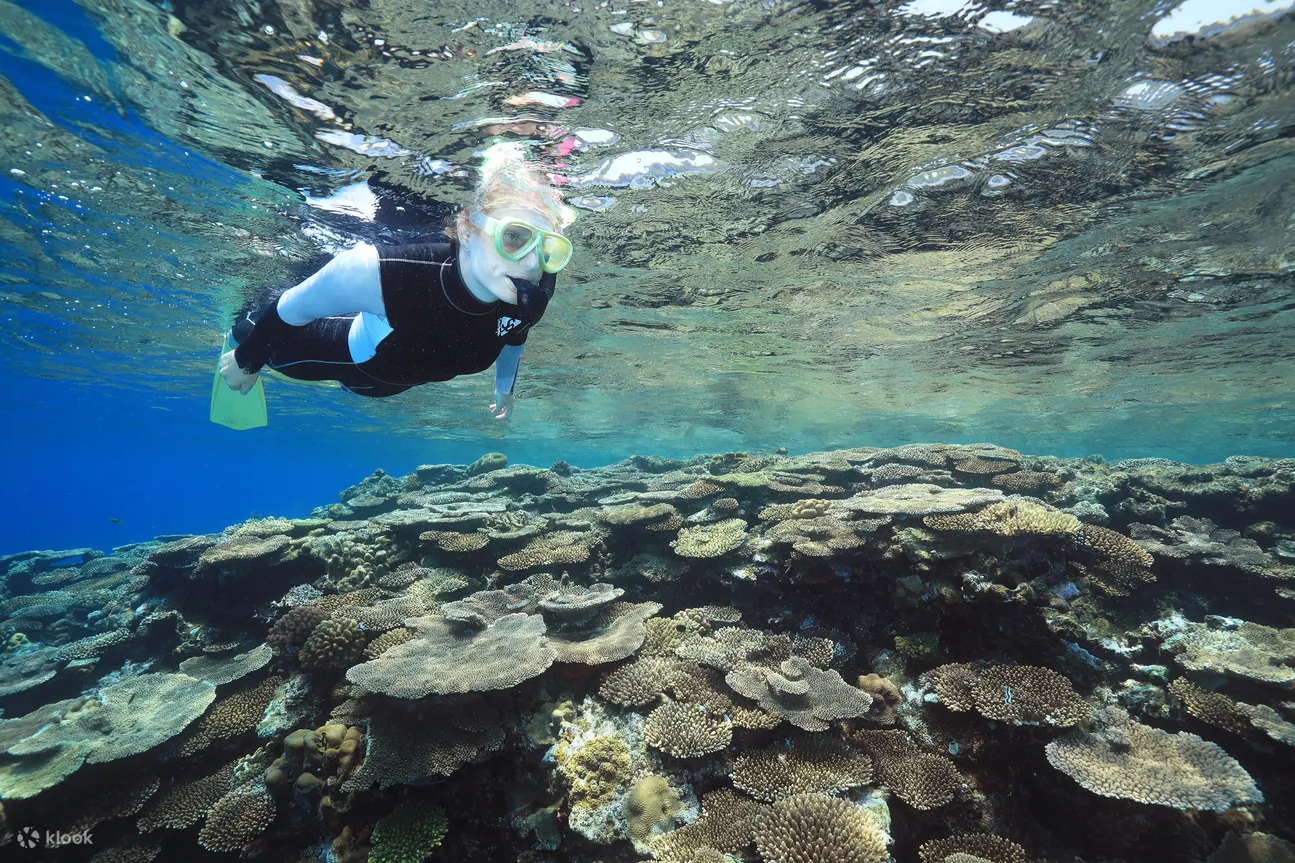 Kerama Island Snorkeling Tour In Okinawa - Key Takeaways