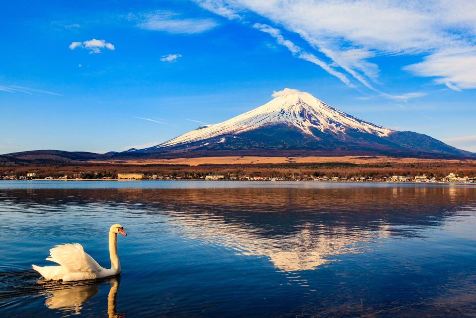 1-Day Trip: Mt Fuji Kawaguchi Lake Area - Pickup Information