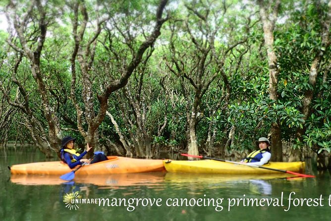 Amami Mangrove Canoe - Exploring the Mangrove Canoeing Experience