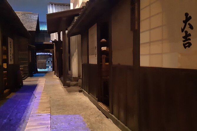 Discover the Wonders of Edo Tokyo on This Amazing Small Group Tour! - Itinerary Overview