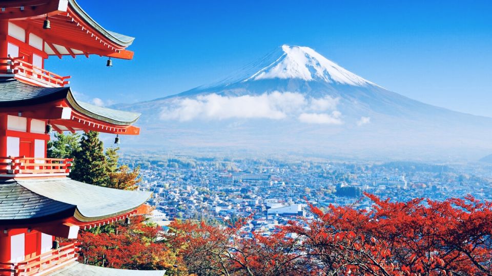 From Tokyo: Mount Fuji and Hakone Private Day Tour - Breathtaking Views of Mount Fuji