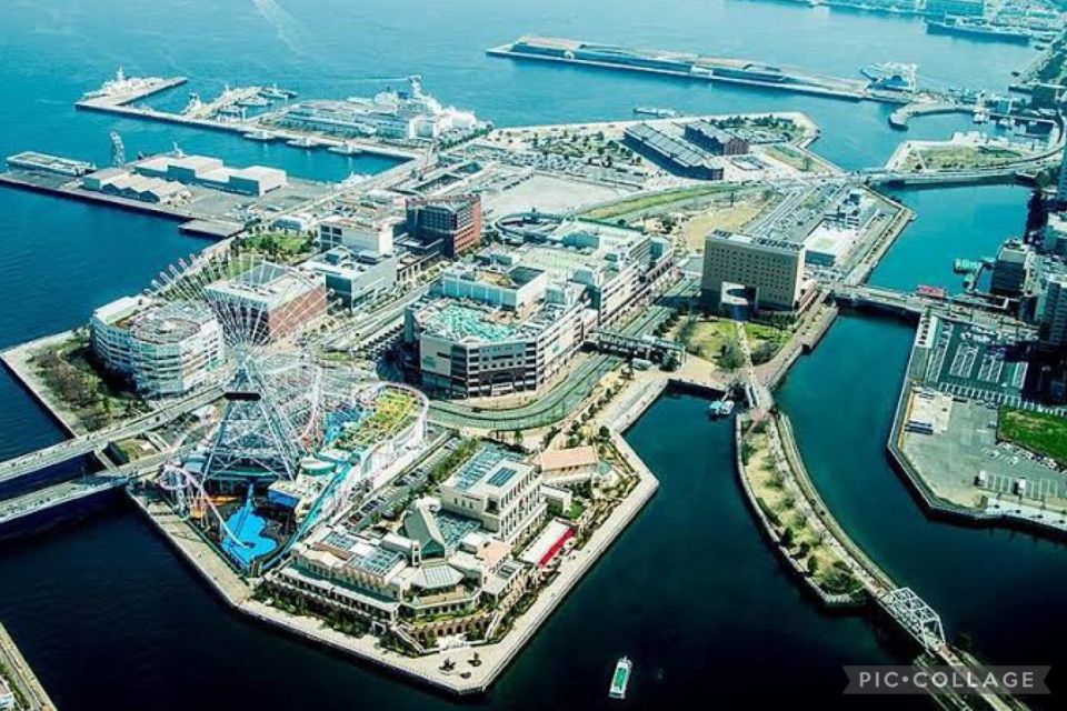 From Tokyo: Private Full Day Yokohama Tour W/Hotel Pick up - Driver Information