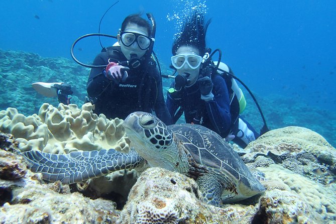 Full Day "Experience Diving" Trip at Kerama Islands - Additional Information