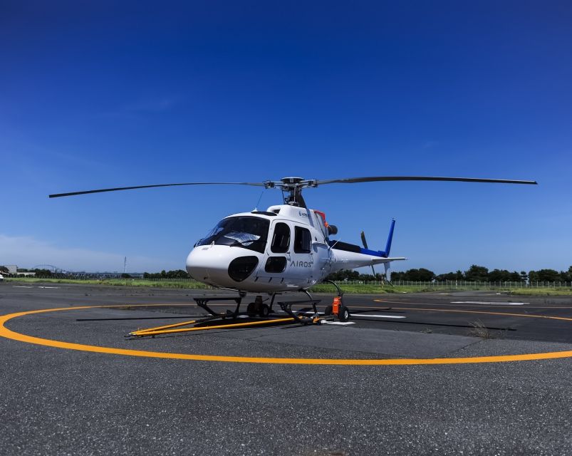 Helicopter Shuttle Service Between Narita and Tokyo - Experience