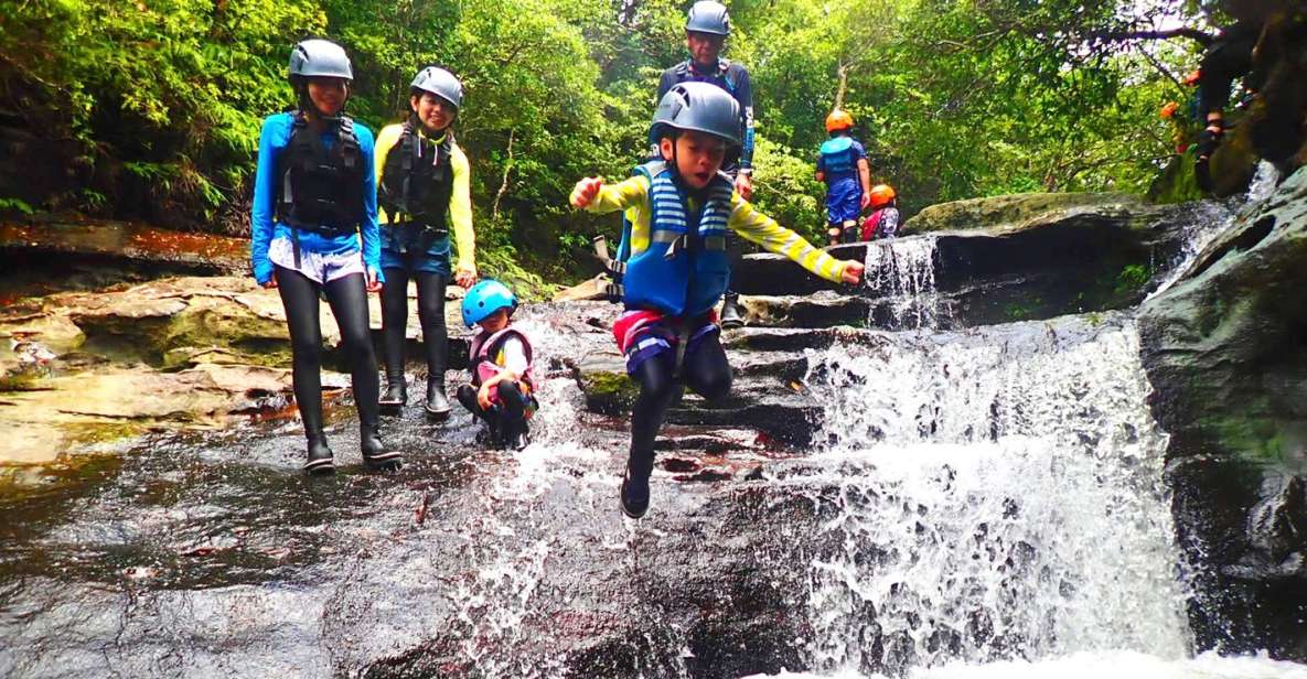 Iriomote Island: Kayaking and Canyoning Tour - Experience