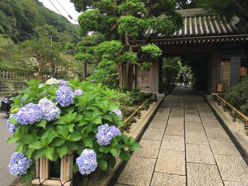 Kamakura: Private History and Heritage Tour by Rickshaw - Tour Options and Durations