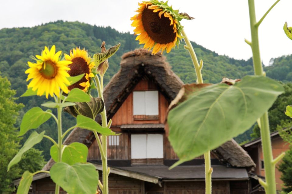 Kanazawa to Shirakawago: Half-Day Tour - Highlights of the Tour