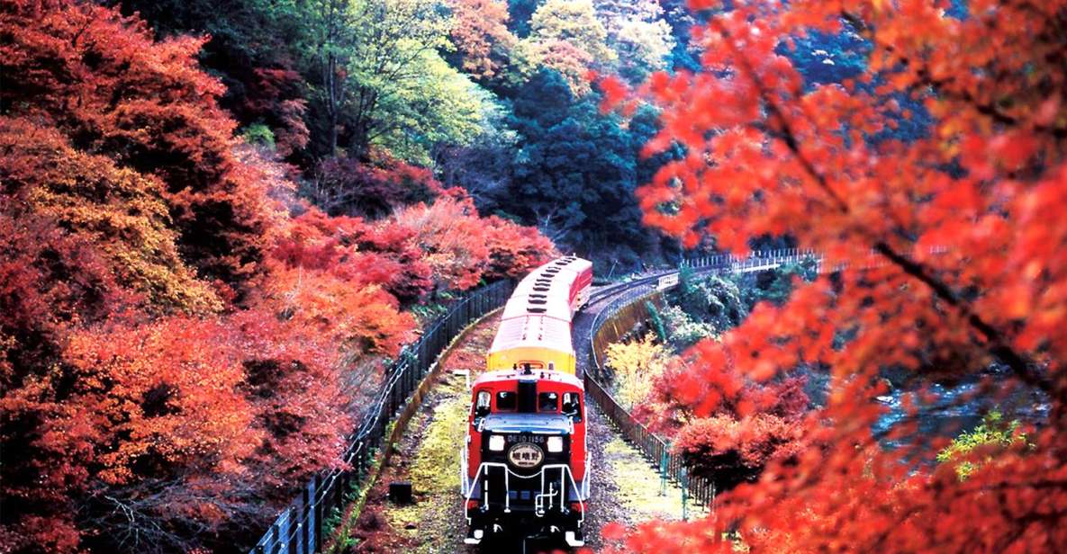 Kyoto Sanzenin Temple,Arashiyama Day Tour From Osaka/Kyoto - Explore the Stunning Sanzen-In Temple