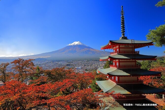 Mt. Fuji & Arakurayama Sengen Park Bus Tour - From Tokyo - Minimum Participant Requirement