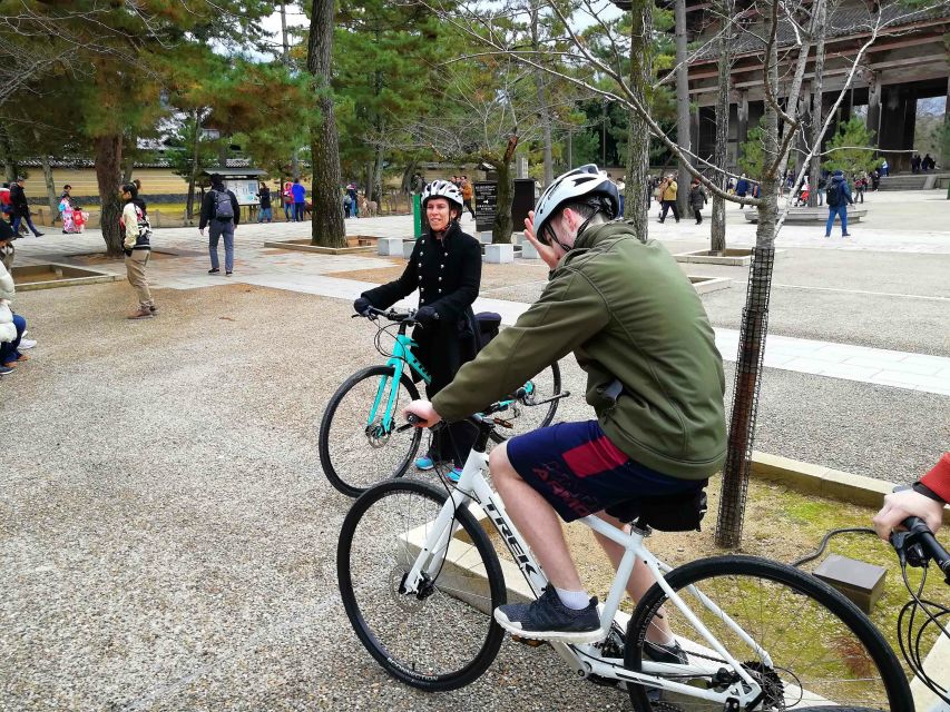 Nara: Nara Park Private Family Bike Tour With Lunch - Experience Highlights