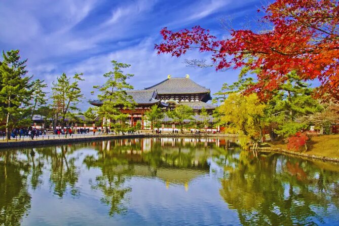 Nara, Todaiji Temple & Kuroshio Market Day BUS Tour From Osaka - Weather and Minimum Travelers