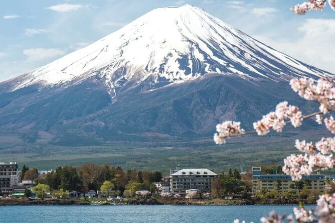 Private Mt. Fuji Custom Tour From Tokyo - Traveler Photos and Reviews