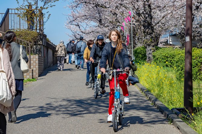 Tokyo Downtown Bicycle Tour (Short Course) - Scenic Routes