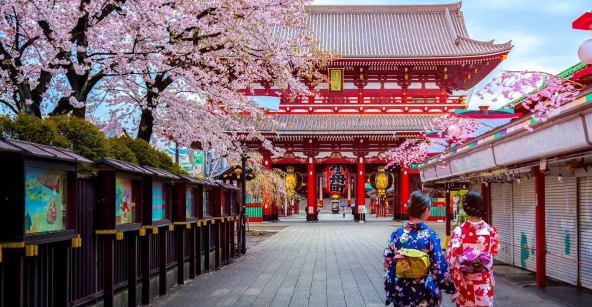 Tokyo: Full Day Private Walking Tour With a Guide - Sightseeing Highlights