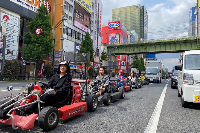 Tokyo Go-Kart Rental With Local Guide From Akihabara - What to Expect During the Activity